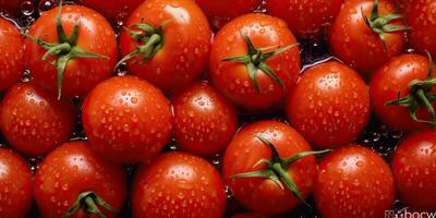 ai generato. ai generativo. eco biologico fresco rosso pomodoro. verdura vegetariano cibo nutrizione azienda agricola cibo. grafico arte foto