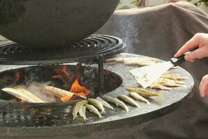 grigliato pesce su un' a forma di scodella piatto griglia con fuoco buco nel il centro. all'aperto frutti di mare barbecue cucinando. picnic su Giardino dietro la casa su Aperto aria. strada cibo concetto. preparazione pesce al di sopra di Aperto fuoco di bivacco foto