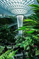 il pioggia vortice, quale il gioiello chiamate un altro evidenziare di di singapore changi aeroporto, è il maggiore e il più alto interno cascata nel il mondo a 130 piedi alto. foto