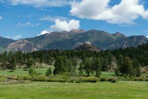 estate nel il tarryall montagne di Colorado. foto