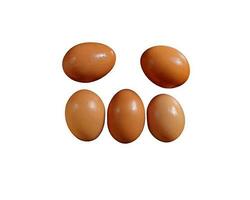 queste siamo uova, quale avere molti benefici e nutritivo soddisfare per incontrare cibo necessità. foto