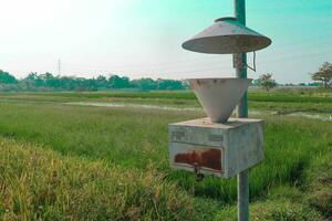 leggero trappola o insetto uccisore lampada o solare insetto uccisore lampada su campo foto