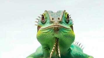 foto di un' verde iguana su bianca sfondo. generativo ai