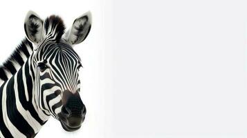foto di un' carino zebra su bianca sfondo. creato di generativo ai