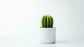 foto di cactus nel minimalista pentola come pianta della casa per casa decorazione isolato su bianca sfondo. generativo ai