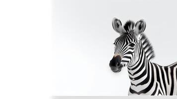 foto di un' carino zebra su bianca sfondo. creato di generativo ai