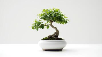 foto di Bonsai nel minimalista pentola come pianta della casa per casa decorazione isolato su bianca sfondo. generativo ai