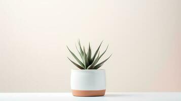 foto di Agave nel minimalista pentola come pianta della casa per casa decorazione isolato su bianca sfondo. generativo ai