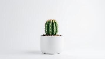 foto di cactus nel minimalista pentola come pianta della casa per casa decorazione isolato su bianca sfondo. generativo ai