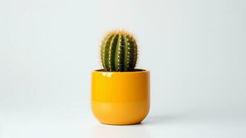 foto di d'oro barile cactus nel minimalista giallo pentola come pianta della casa per casa decorazione isolato su bianca sfondo. generativo ai