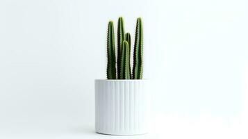 foto di organo tubo cactus nel minimalista pentola come pianta della casa per casa decorazione isolato su bianca sfondo. generativo ai