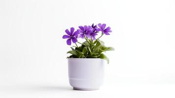 foto di viola fiore nel minimalista pentola come pianta della casa per casa decorazione isolato su bianca sfondo. generativo ai