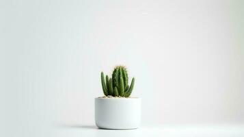 foto di cactus nel minimalista pentola come pianta della casa per casa decorazione isolato su bianca sfondo. generativo ai