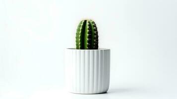 foto di organo tubo cactus nel minimalista pentola come pianta della casa per casa decorazione isolato su bianca sfondo. generativo ai