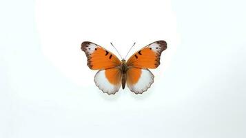 foto di un' farfalla su bianca sfondo. generativo ai