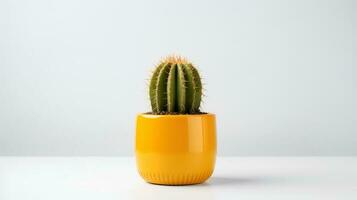 foto di d'oro barile cactus nel minimalista giallo pentola come pianta della casa per casa decorazione isolato su bianca sfondo. generativo ai