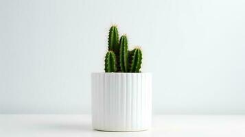 foto di organo tubo cactus nel minimalista pentola come pianta della casa per casa decorazione isolato su bianca sfondo. generativo ai