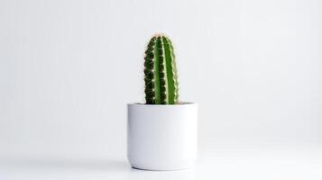 foto di organo tubo cactus nel minimalista pentola come pianta della casa per casa decorazione isolato su bianca sfondo. generativo ai