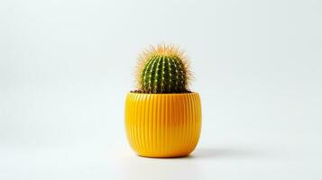 foto di d'oro barile cactus nel minimalista giallo pentola come pianta della casa per casa decorazione isolato su bianca sfondo. generativo ai