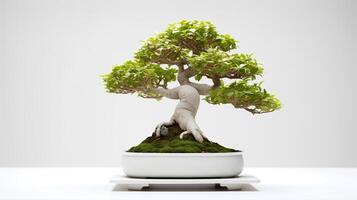 foto di Bonsai nel minimalista pentola come pianta della casa per casa decorazione isolato su bianca sfondo. generativo ai