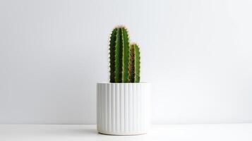 foto di organo tubo cactus nel minimalista pentola come pianta della casa per casa decorazione isolato su bianca sfondo. generativo ai