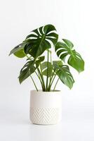 foto di Monstera nel minimalista pentola come pianta della casa per casa decorazione isolato su bianca sfondo. generativo ai