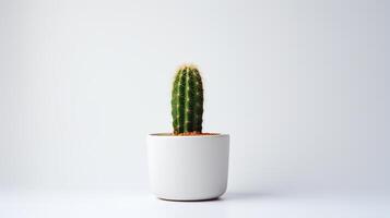 foto di cactus nel minimalista pentola come pianta della casa per casa decorazione isolato su bianca sfondo. generativo ai