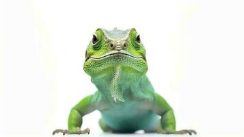 foto di un' verde iguana su bianca sfondo. generativo ai