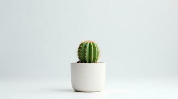 foto di cactus nel minimalista pentola come pianta della casa per casa decorazione isolato su bianca sfondo. generativo ai