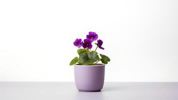 foto di viola fiore nel minimalista pentola come pianta della casa per casa decorazione isolato su bianca sfondo. generativo ai