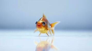 foto di un' pesce su bianca sfondo. generativo ai