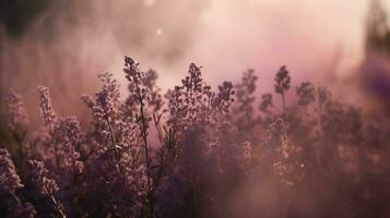 generativo ai, vicino su in crescita lavanda campo con profumo Fumo, fioritura lavanda, rosa viola fiori e erba. foto