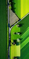 generativo ai, azienda agricola paesaggio, agricolo campi, bellissimo campagna, nazione strada. natura illustrazione, fotorealistico superiore Visualizza drone, verticale formato foto