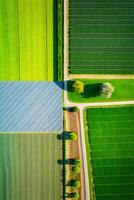 generativo ai, azienda agricola paesaggio, agricolo campi, bellissimo campagna, nazione strada. natura illustrazione, fotorealistico superiore Visualizza drone, verticale formato foto