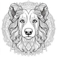 Disegni da colorare cane mandala foto