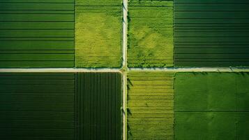 generativo ai, azienda agricola paesaggio, agricolo campi, bellissimo campagna, nazione strada. natura illustrazione, fotorealistico superiore Visualizza drone, orizzontale striscione. foto