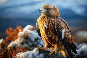 d'oro aquila nel natura. generativo ai foto