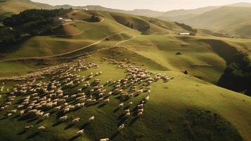 generativo ai, bellissimo verde montagne paesaggio con gregge di pecore pascolo su lussureggiante erba su terreni agricoli foto