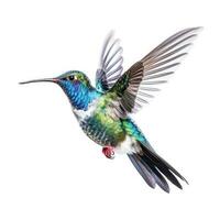blu vivido ampio fatturato colibrì isolato. illustrazione ai generativo foto