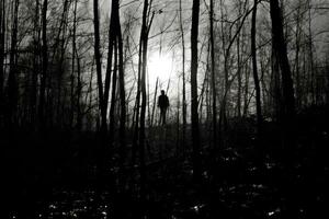 un' strega in piedi solo nel un' foresta radura, staglia contro un' enorme, raggiante pieno Luna. generativo ai foto