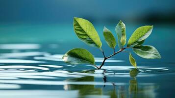 un' singolo foglia galleggiante su un' perfettamente ancora acqua superficie. generativo ai foto