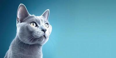 gatto ritratto su minimo blu sfondo per banner ai generativo foto