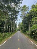 strada asfalto nel il foresta natura campagna di Tailandia, strada ambiente alto voltaggio elettrico pol. albero giungla viaggio verde paesaggio. strada modo autostrada concetto Visualizza viaggio isola naturale. foto