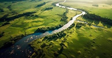 panoramico superiore Visualizza di un' avvolgimento fiume circondato di denso foresta e spazioso i campi con verde erba - ai generato Immagine foto