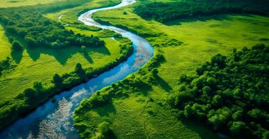 panoramico superiore Visualizza di un' avvolgimento fiume circondato di denso foresta e spazioso i campi con verde erba - ai generato Immagine foto