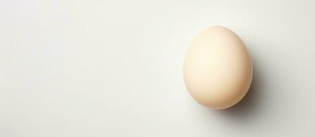 foto di un' bianca uovo su un' pulito sfondo con abbondanza di spazio per testo o altro design elementi con copia spazio