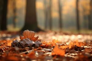 autunno composizione con copia spazio ai generativo foto