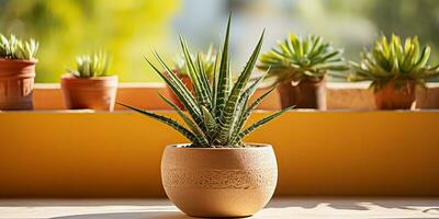 ai generato. ai generativo. decorativo astratto fiore cactus pianta botanico su rustico legna tavolo. decorazione accogliente casa vibrazione. grafico arte foto