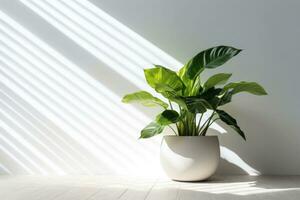 in vaso verde impianti con bianca parete su il sfondo. sole raggi. piante d'appartamento. generativo ai foto