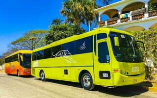 puerto escondido oaxaca Messico 2023 vario colorato autobus giro autobus trasporto nel puerto escondido Messico. foto